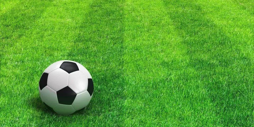 足彩竞彩数据可视化分析图表